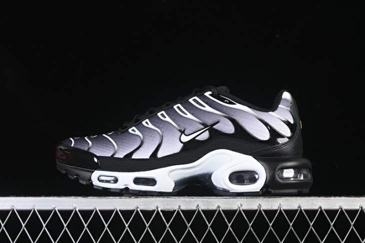 Picture of Air Max Plus _SKUfw21169696277496984fw